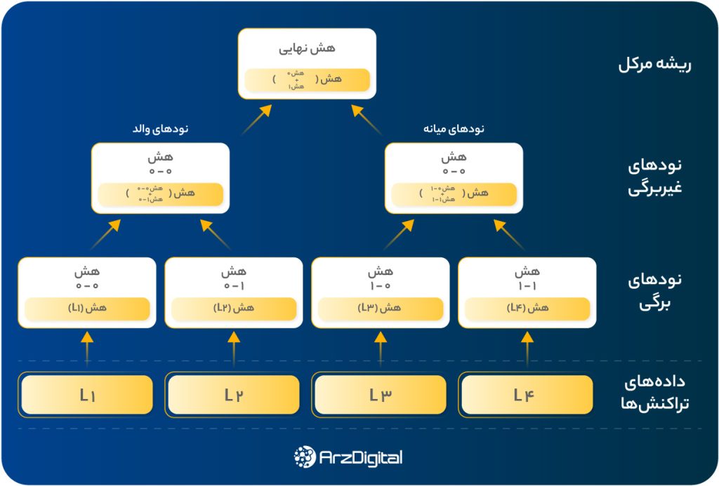 درخت ورکل (Verkle Tree) چیست و چه تفاوتی با درخت مرکل دارد؟