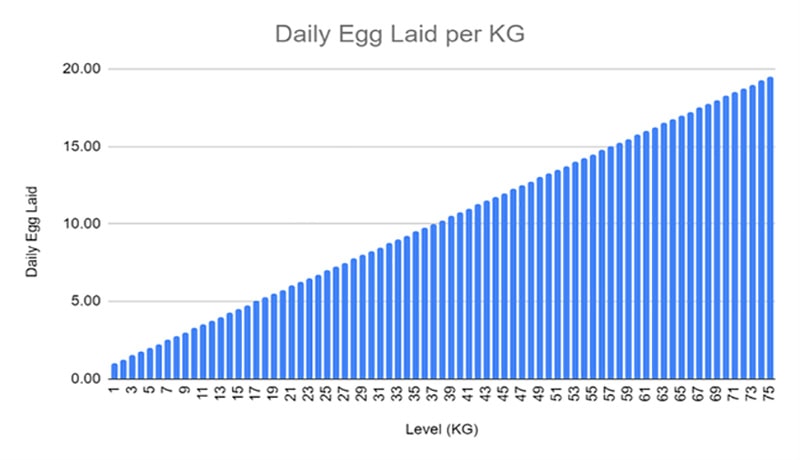 توکن تخم مرغ یا ارز دیجیتال Chikn Egg چیست؟