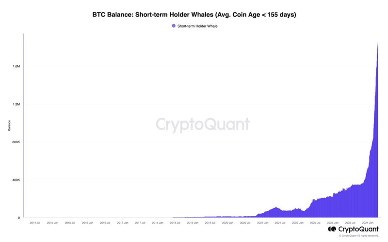 new-bitcoin-whales-now-control-9-of-btc-supply-amid-very-active-on-chain-accumulation-cryptoquant-ceo