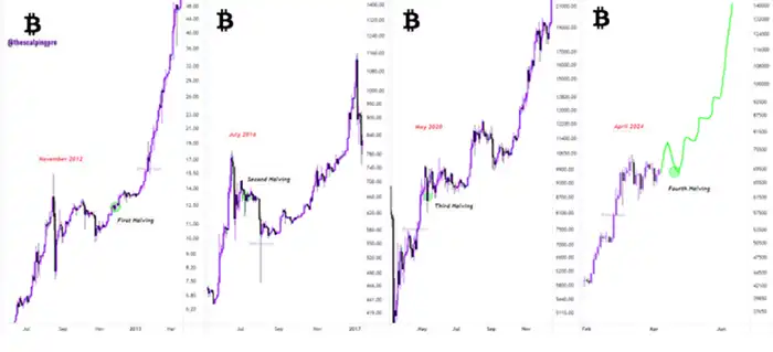 هاوینگ‌های بیت کوین از ۲۰۱۲ تا ۲۰۲۴