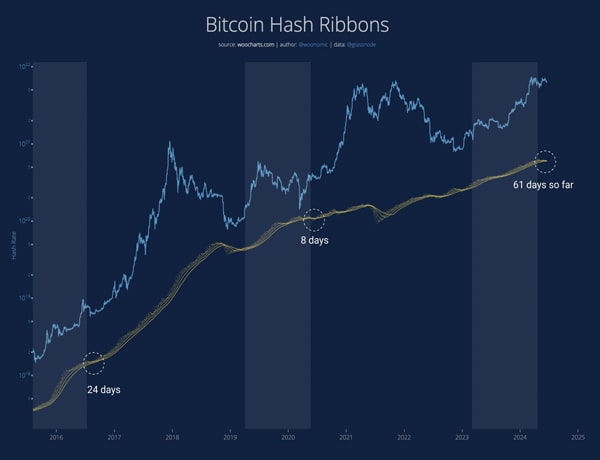 when-will-bitcoin-recover-top-analyst-says-this