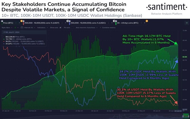 bitcoin-accumulation-hits-all-time-high