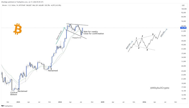 bitcoin-btc-large-investors-price-analyst