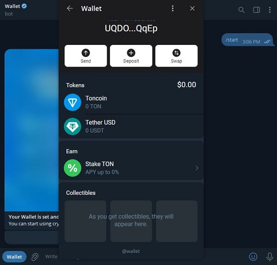 صفحه اصلی ton space در کیف پول تلگرام