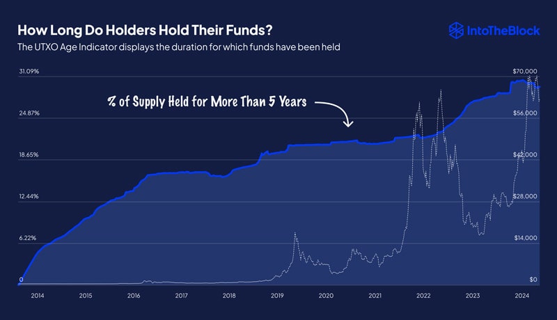 bitcoin-whales-vs-diamond-hands-will-btcs-future-be-bullish-or-bearish