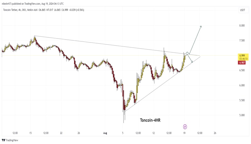 top-altcoins-toncoin-and-notcoin-surges-higher-will-rally-continue