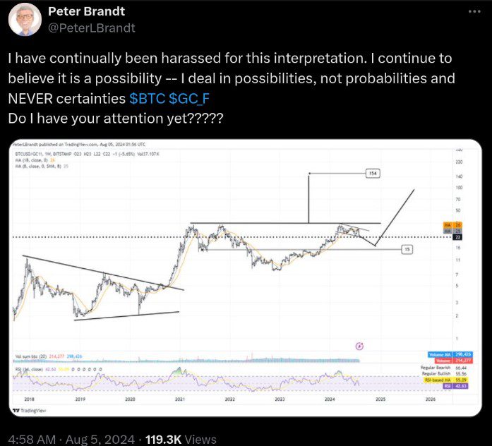 توییت پیتر برندت در مورد وضعیت فعلی بیت کوین