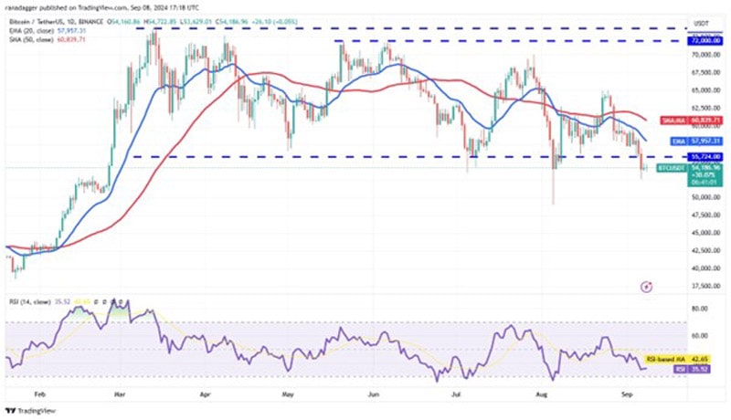 bitcoin-recovery-trigger-uni-sui-op-hnt