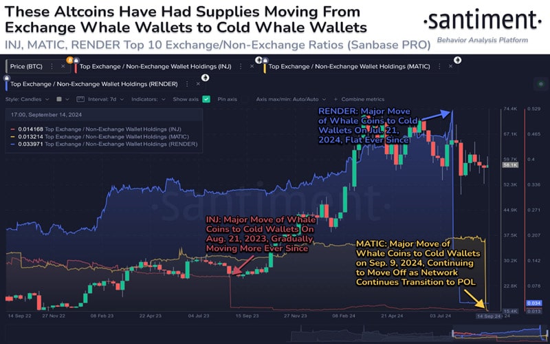 whales-move-cryptos-to-cold-wallet