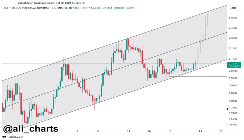 crypto-market-rally-continue