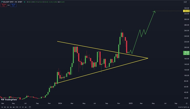 top-expert-predicts-solana-price-to-hit-330-amid-bullish-market-trends