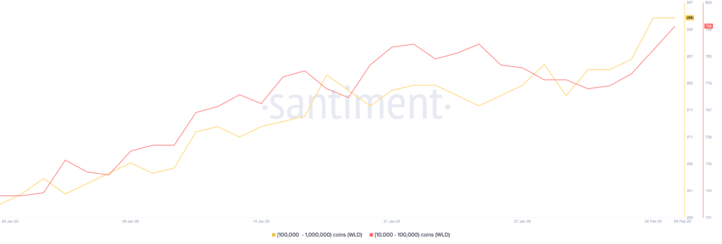 انباشت ورلد کوین توسط نهنگ‌ها